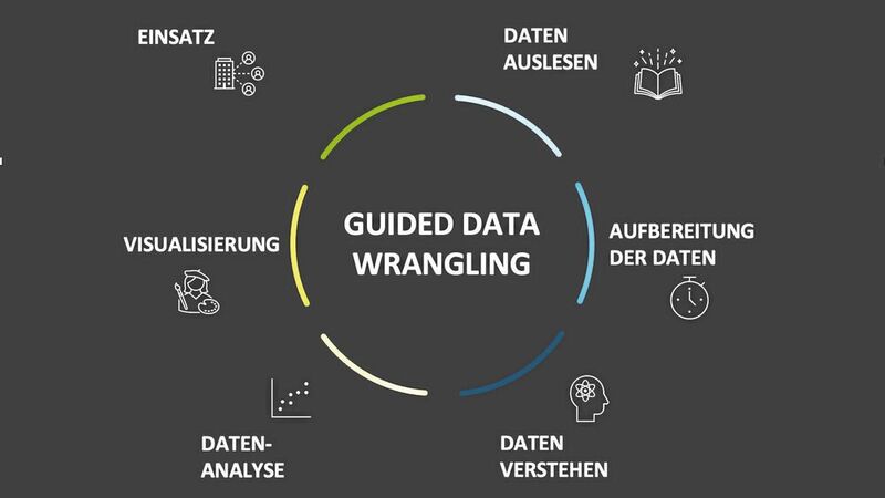 Guided Data Wrangling